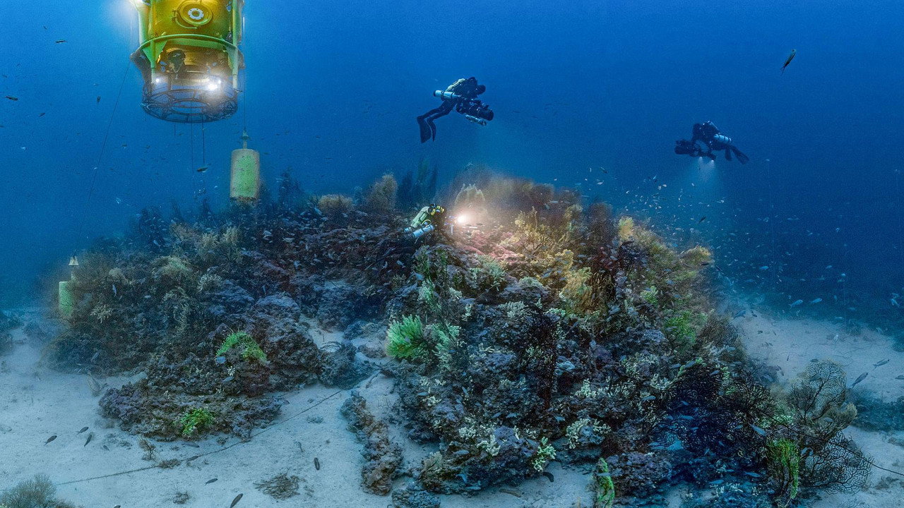 The Deep Med backdrop