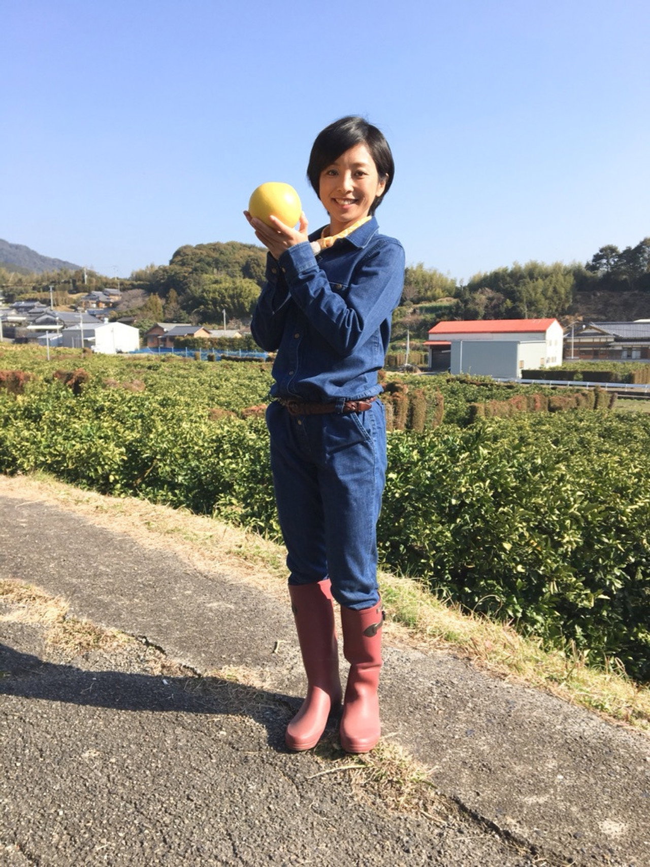 うまいッ! affisch