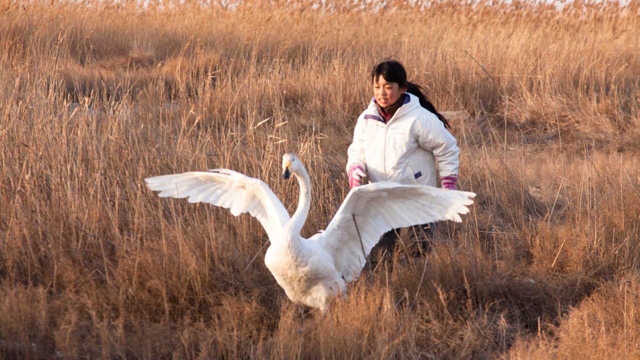 Scen från I Swan