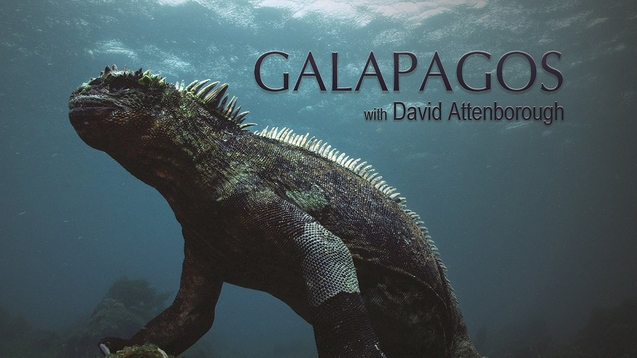 Galapagos 3D with David Attenborough background