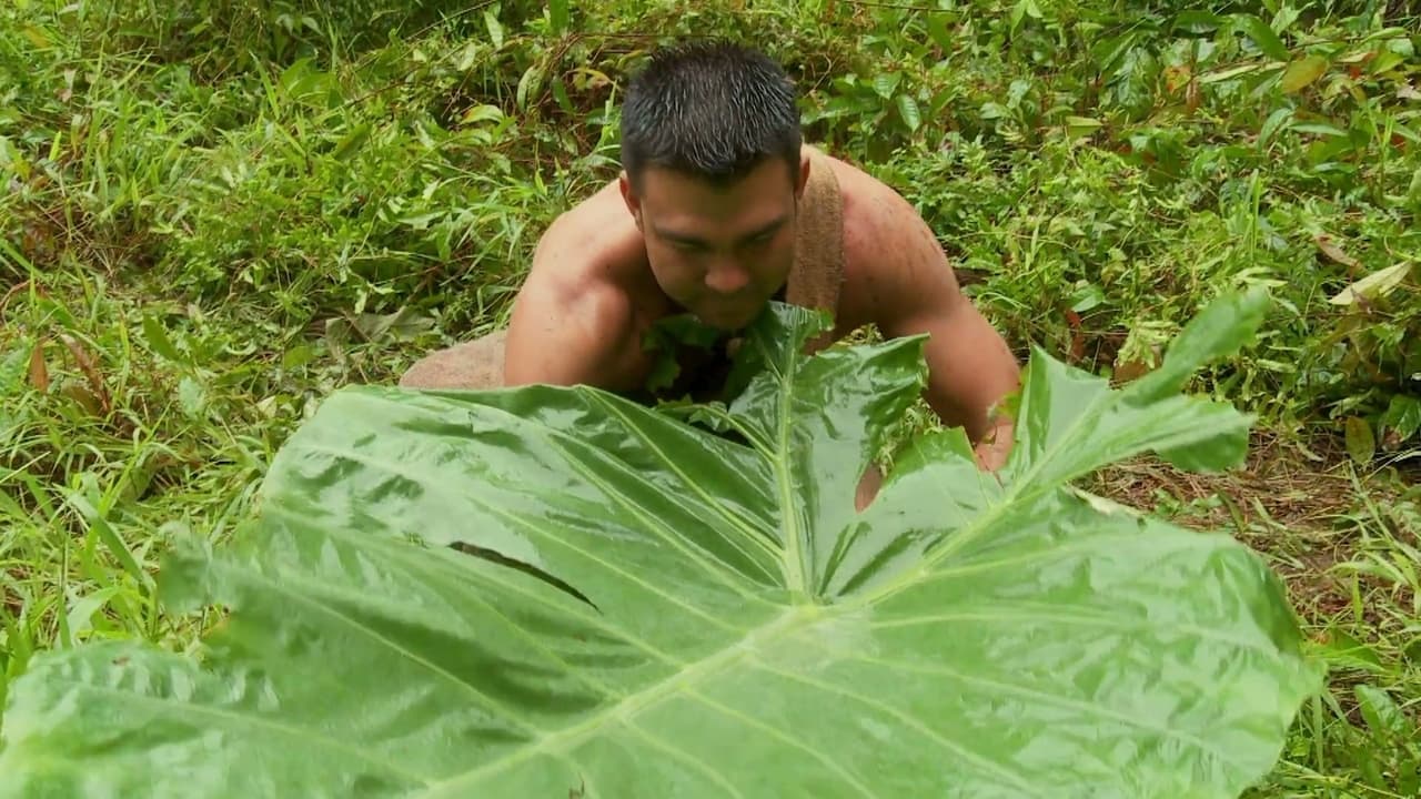 Naked and Afraid - Season 2 Episode 5 : The Pain Forest