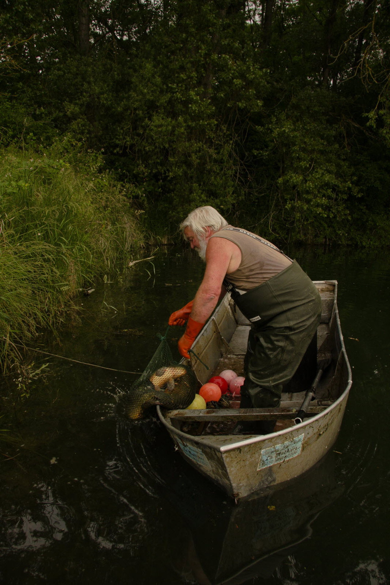 Le dernier pêcheur du Rhin filmaffisch