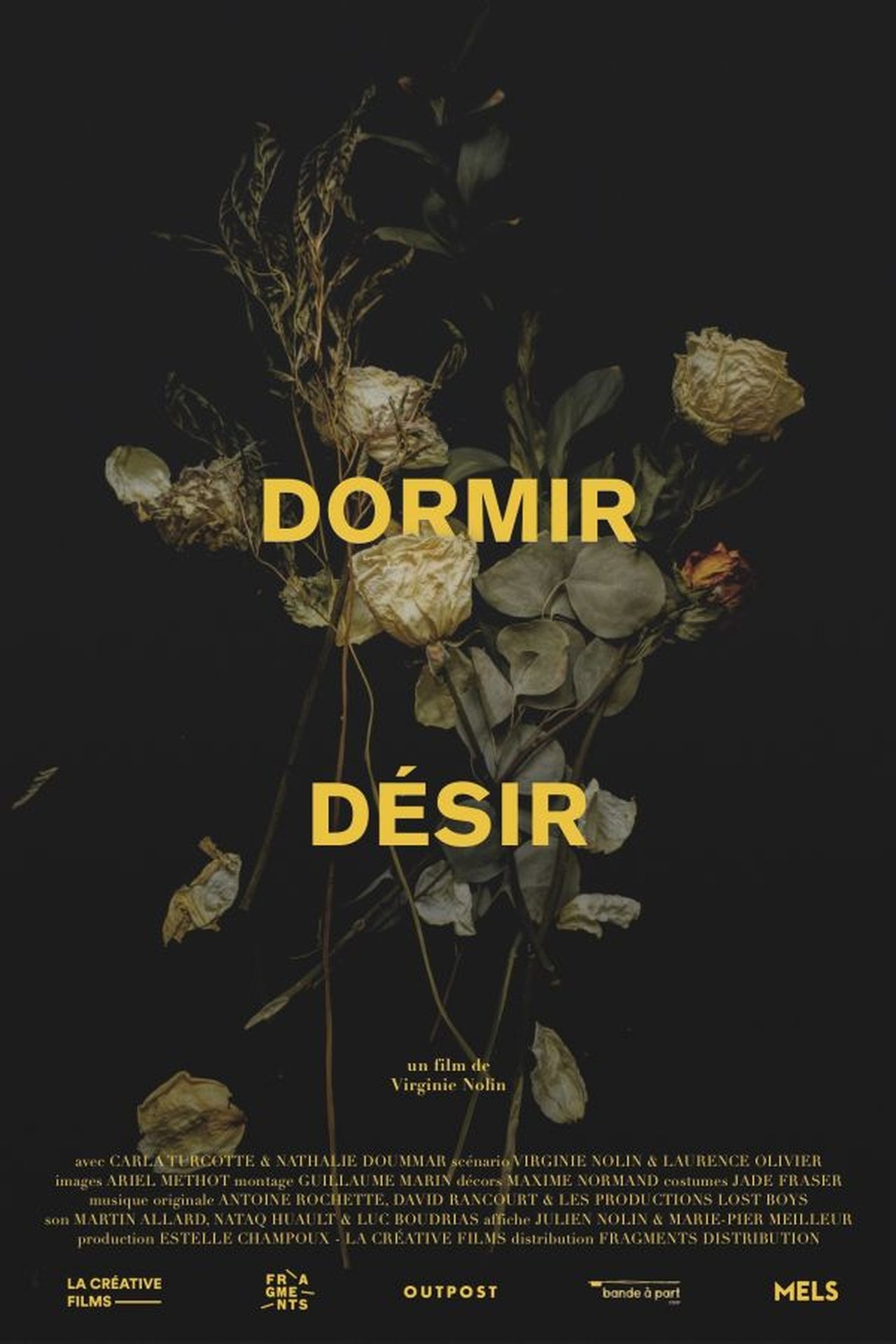 Dormir désir Dormir désir