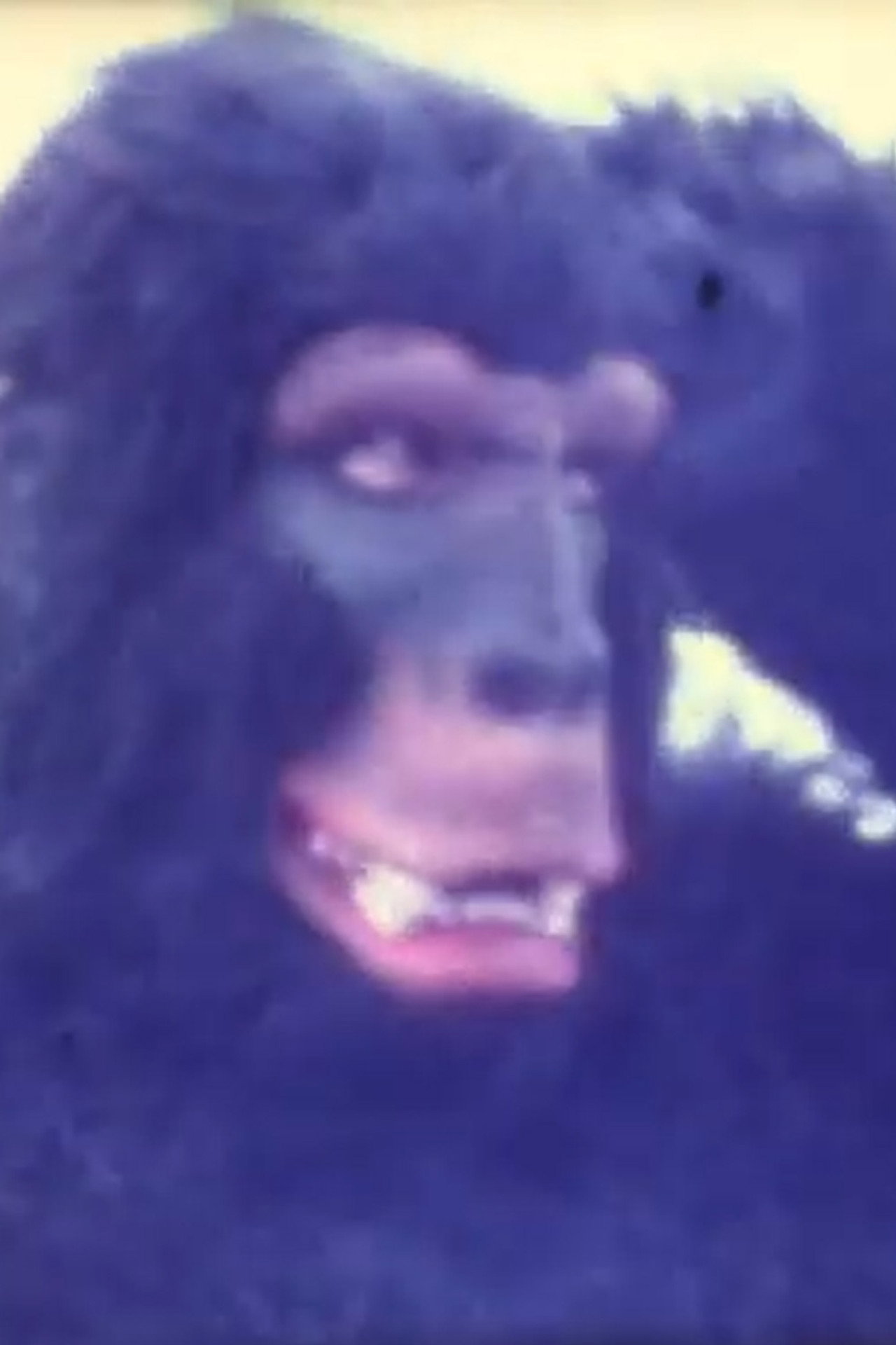 Gone Ape filmaffisch
