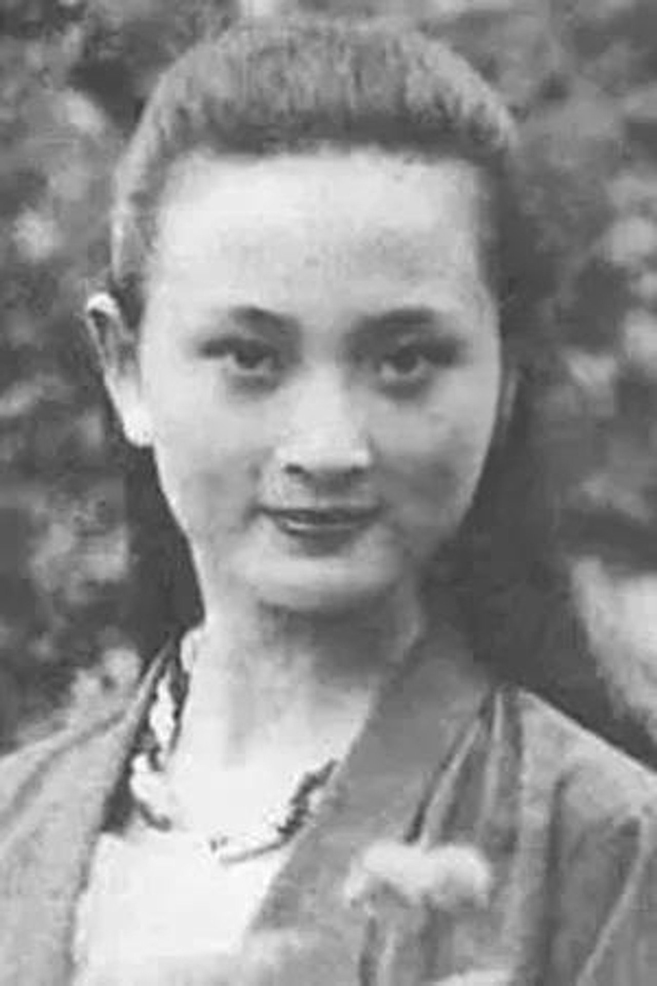 陈莎莎