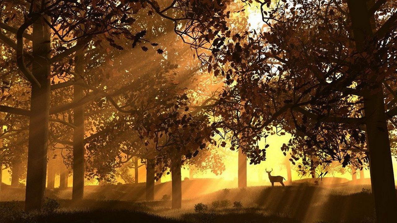 Mythos Wald background