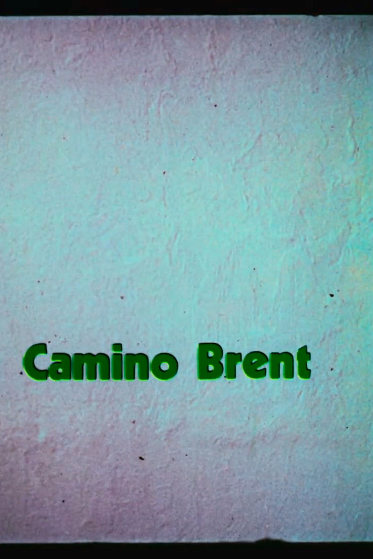 Enrique Camino Brent