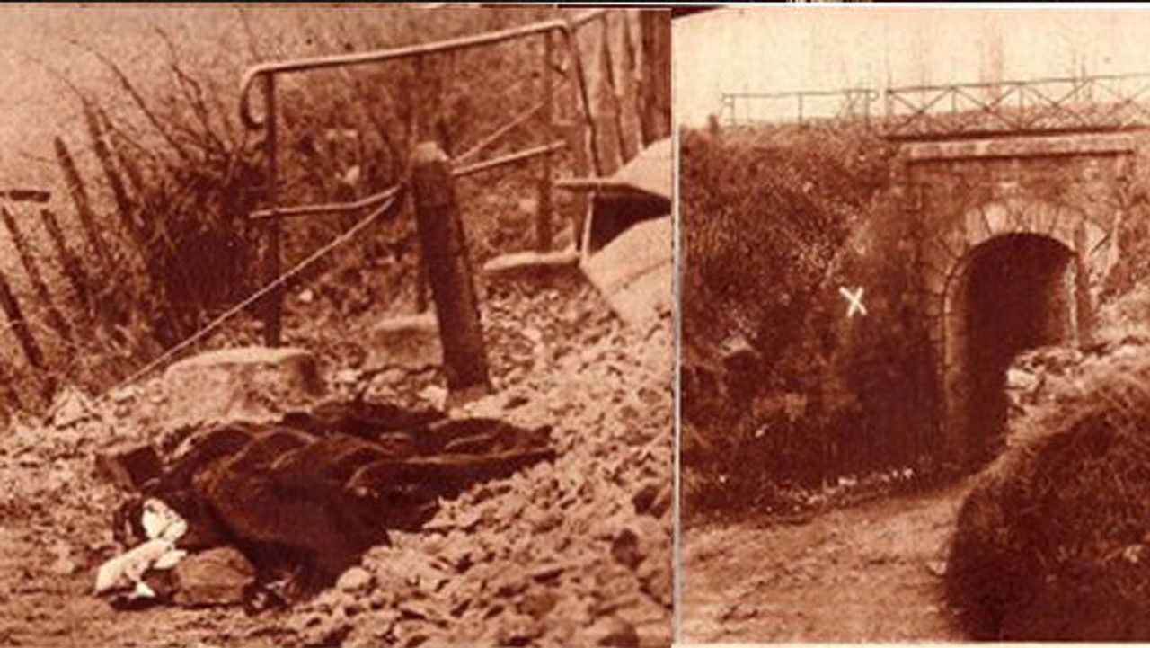 Alain Decaux raconte — L'affaire Prince