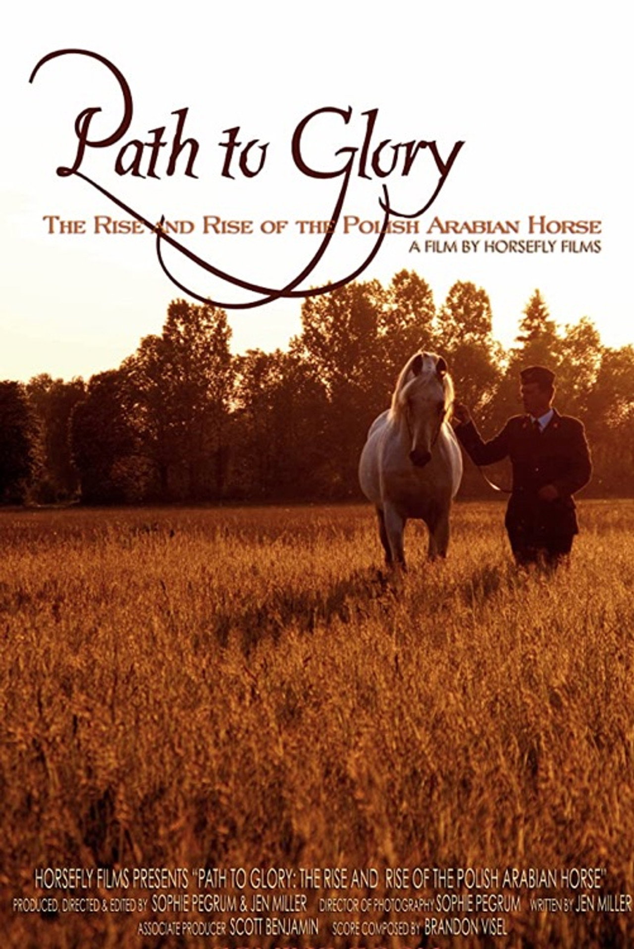 Path to Glory: The Rise and Rise of the Polish Arabian Horse filmaffisch