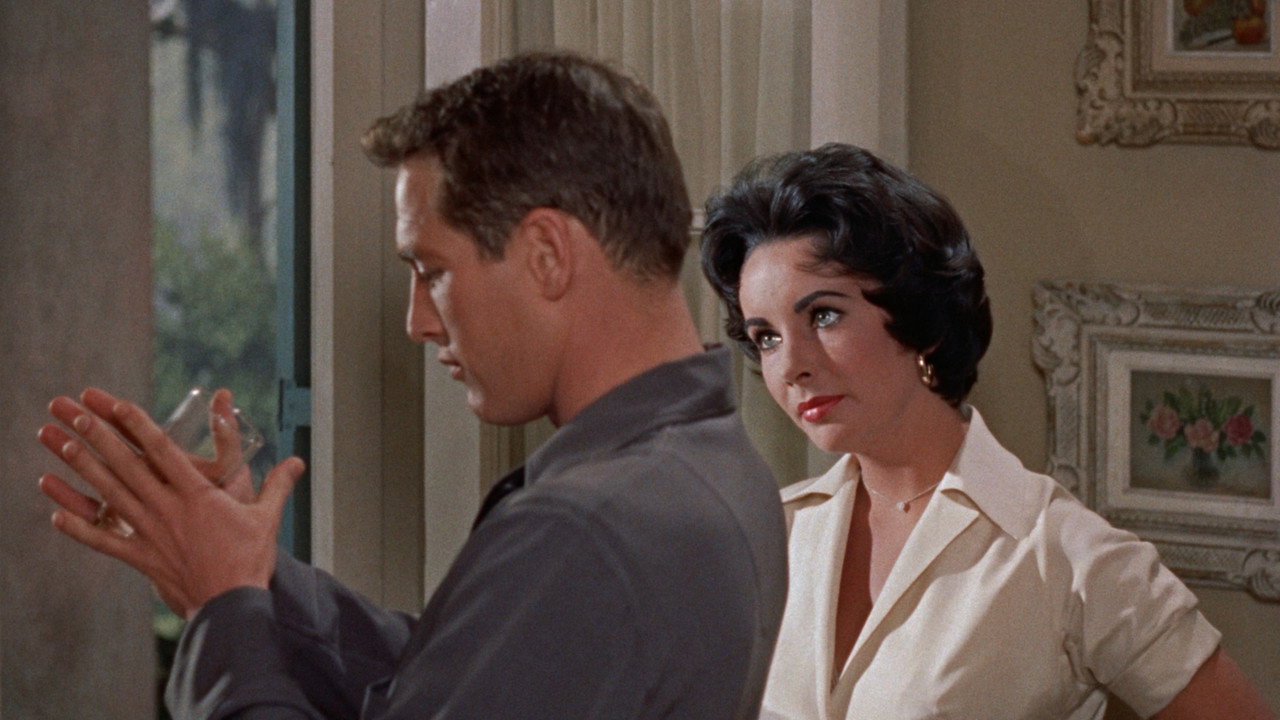 Cat on a Hot Tin Roof background 31