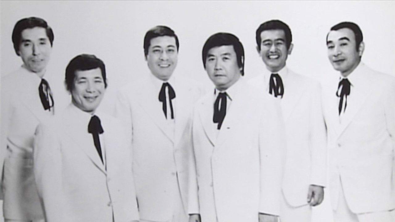 The Crazy Cats Collection