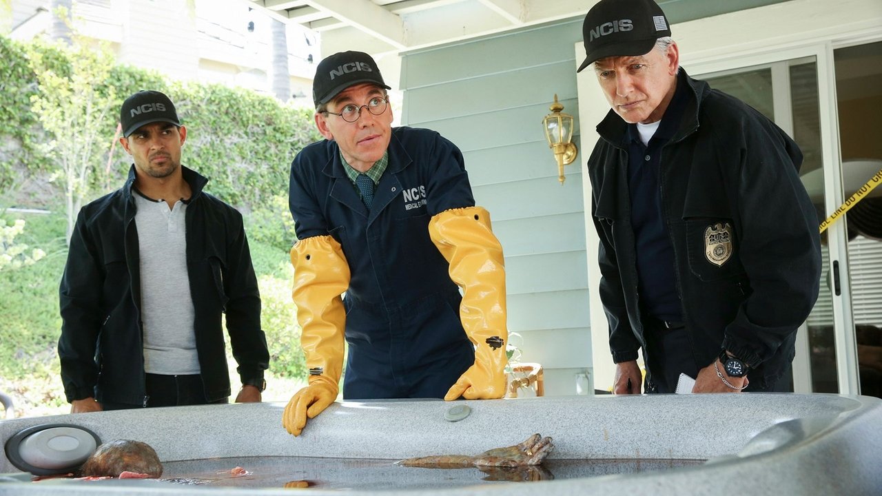 NCIS - Season 16 Episode 2 : Love Thy Neighbor