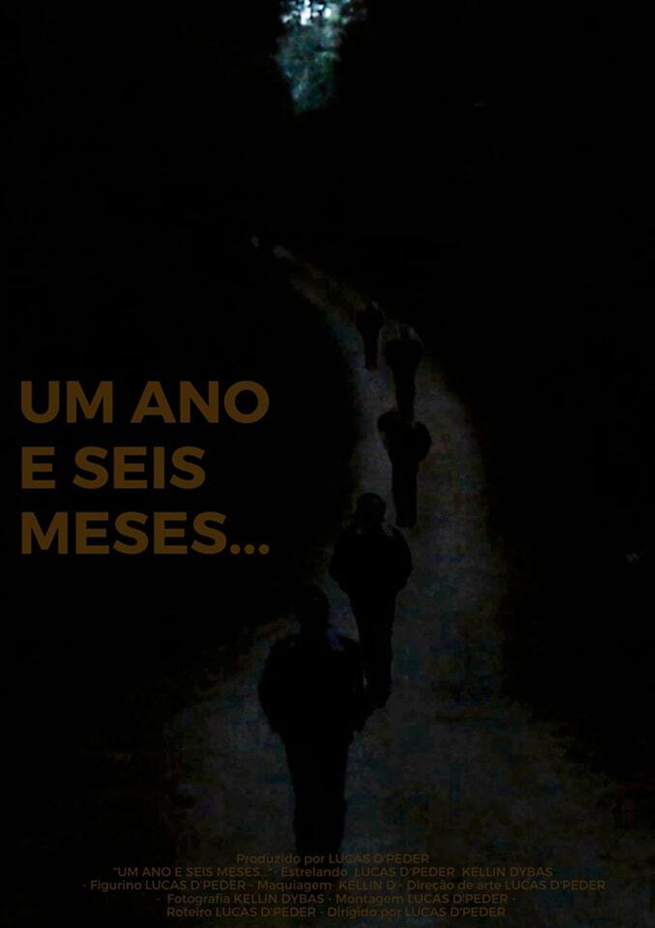Um Ano e Seis Meses... filmaffisch