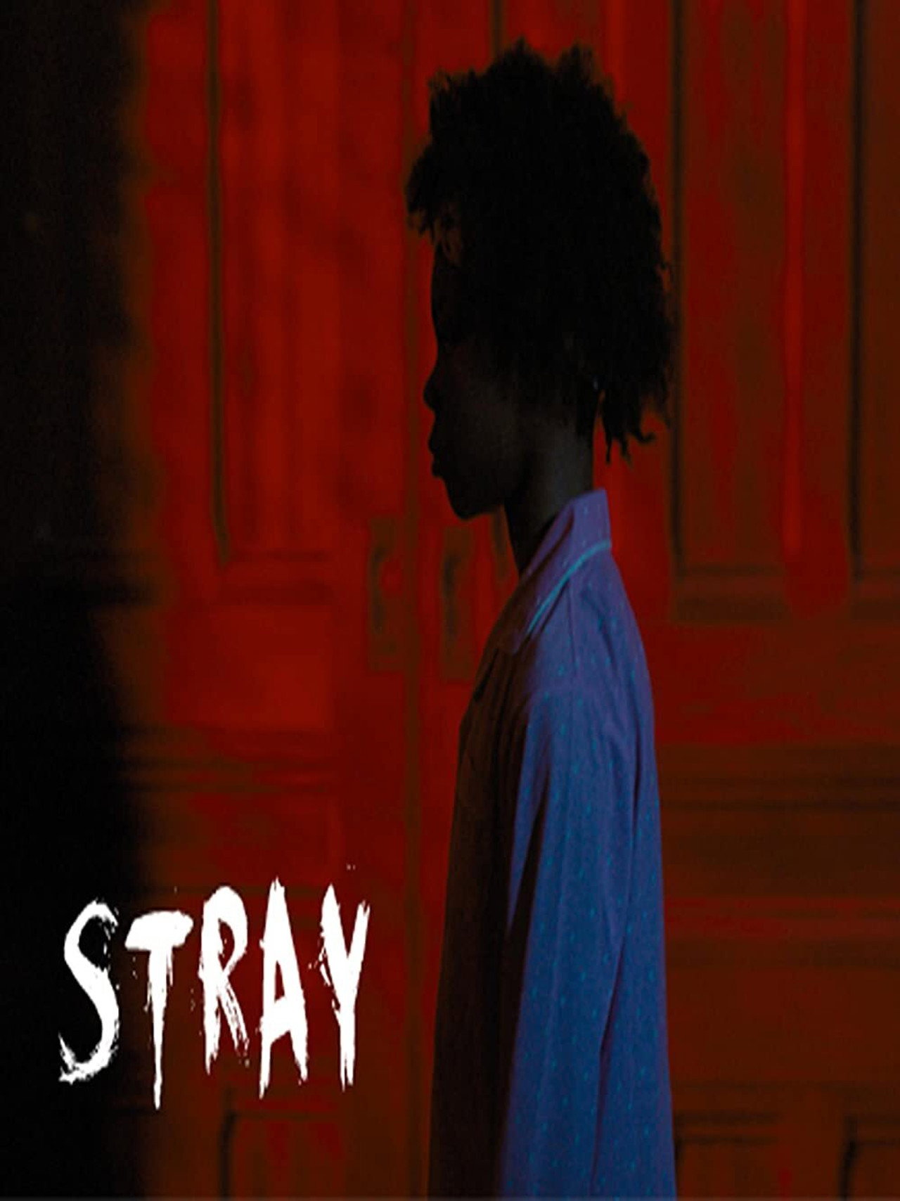 Stray filmaffisch