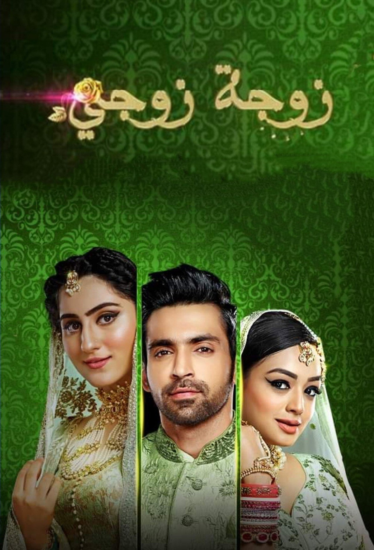 Bahu Begum