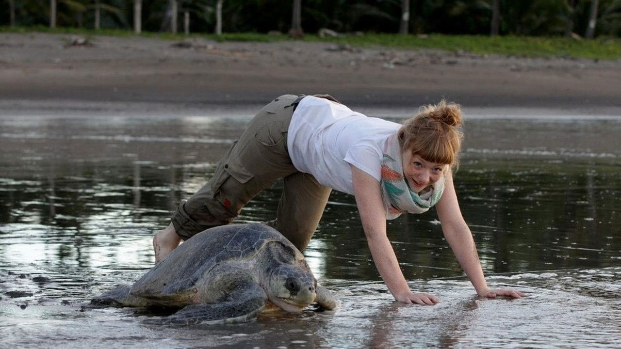 Paula und die wilden Tiere — Épisode 50