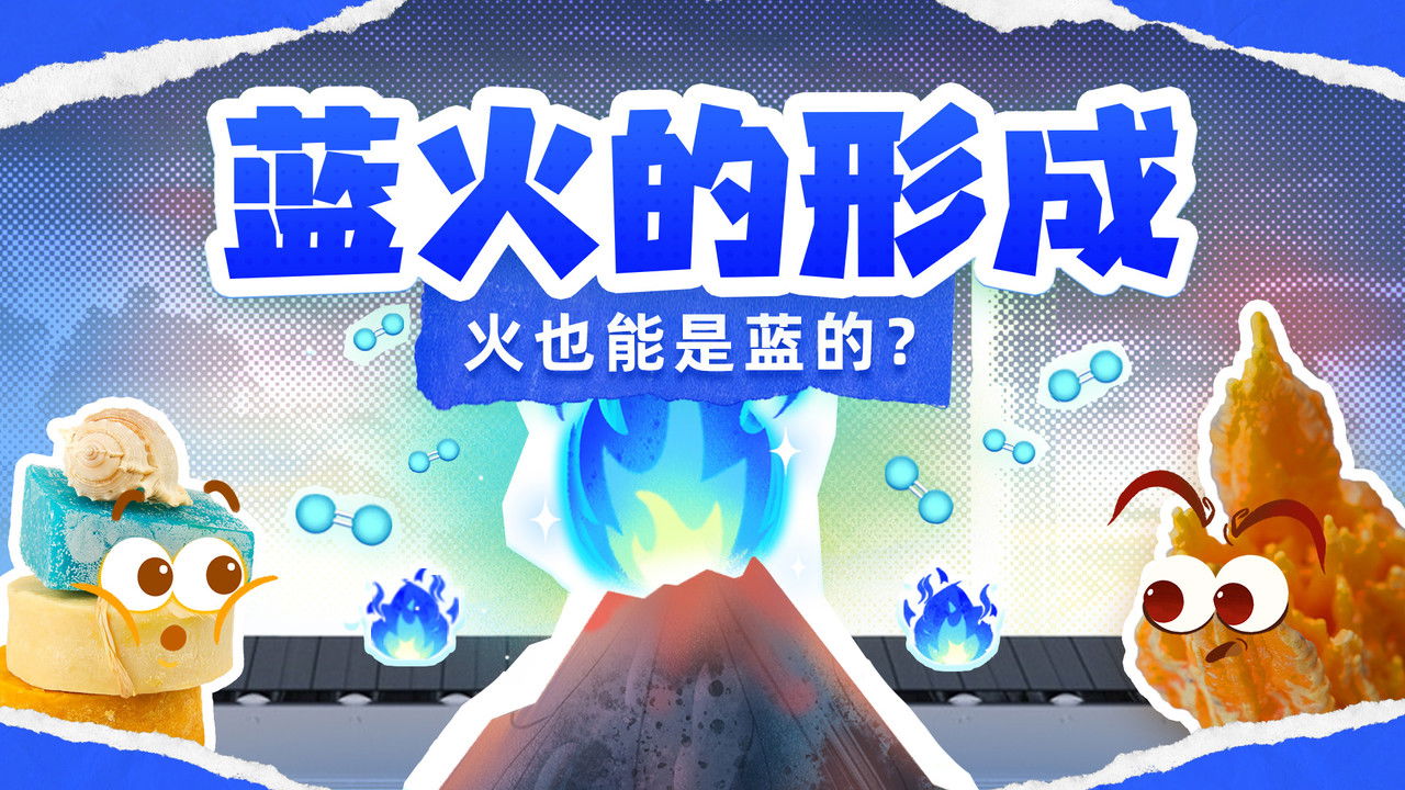 斑马百科探索 — Épisode 10