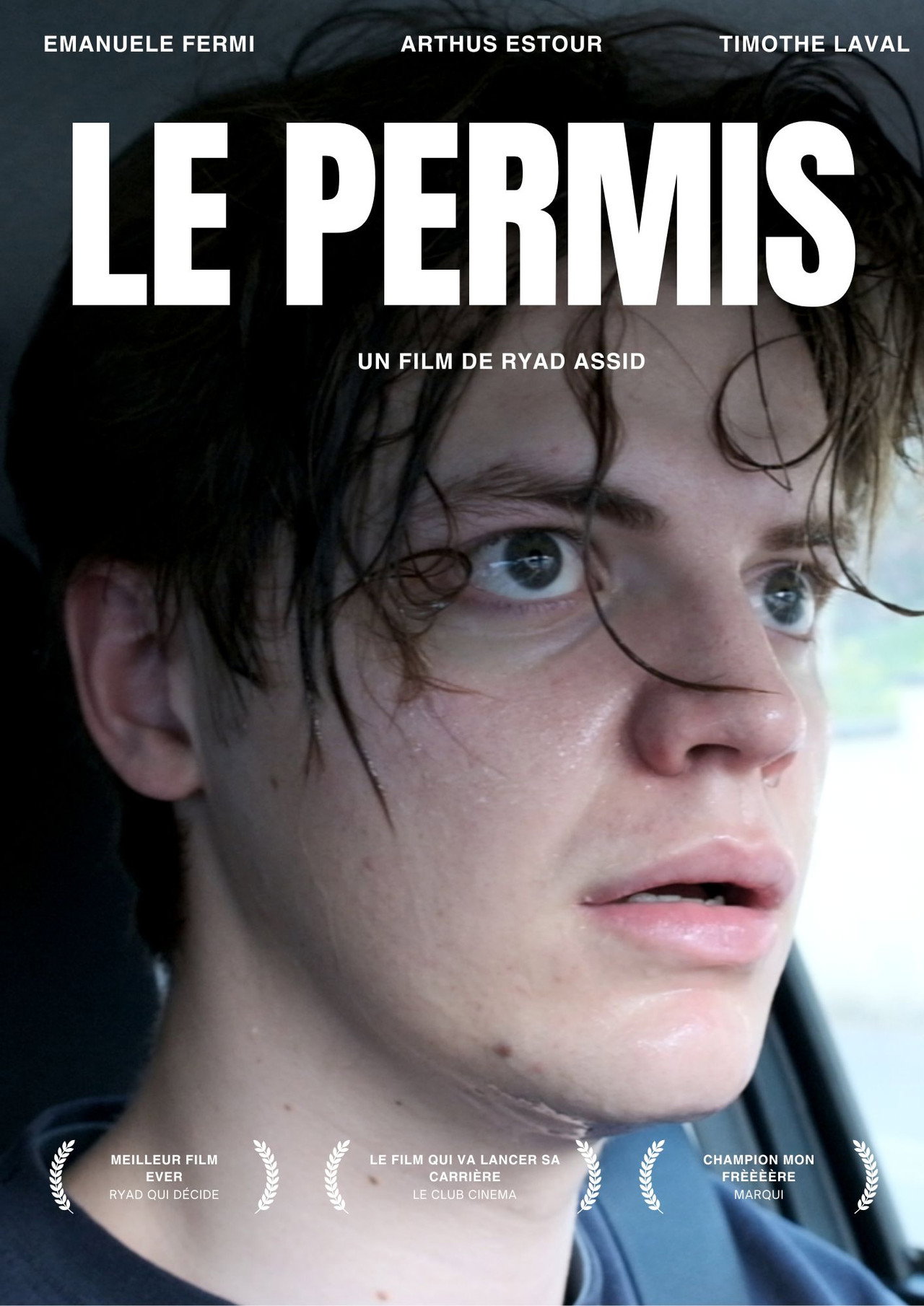 LE PERMIS filmaffisch
