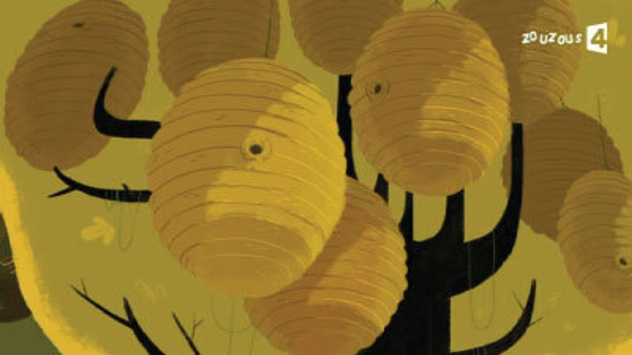 Flapacha, où es-tu ? — Jour de miel