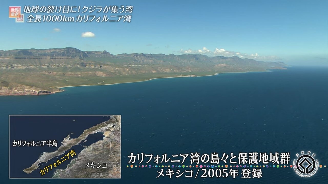 The World Heritage - Season 25 Episode 24 : Episode 24