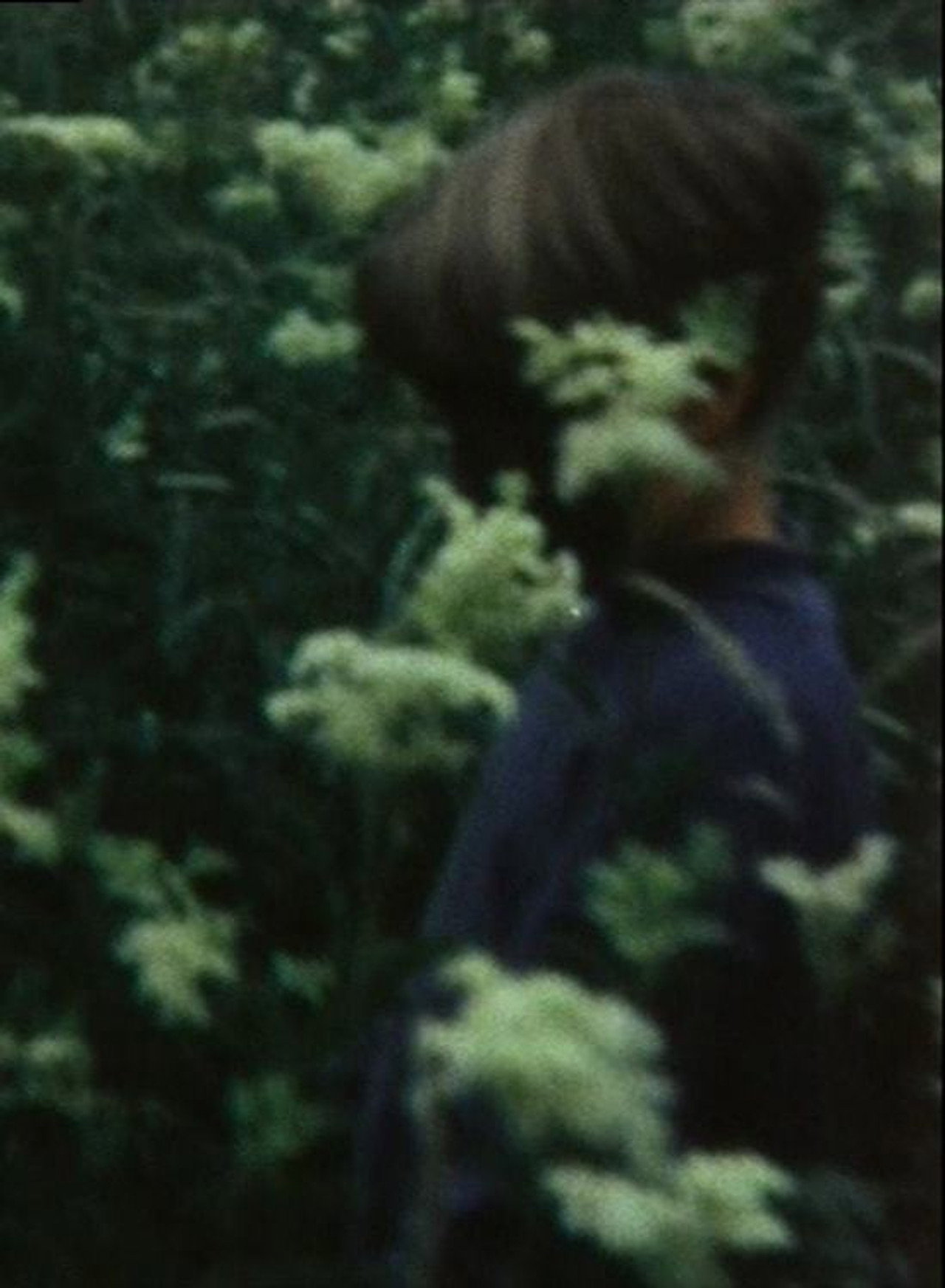 Das fliegende Bild filmaffisch