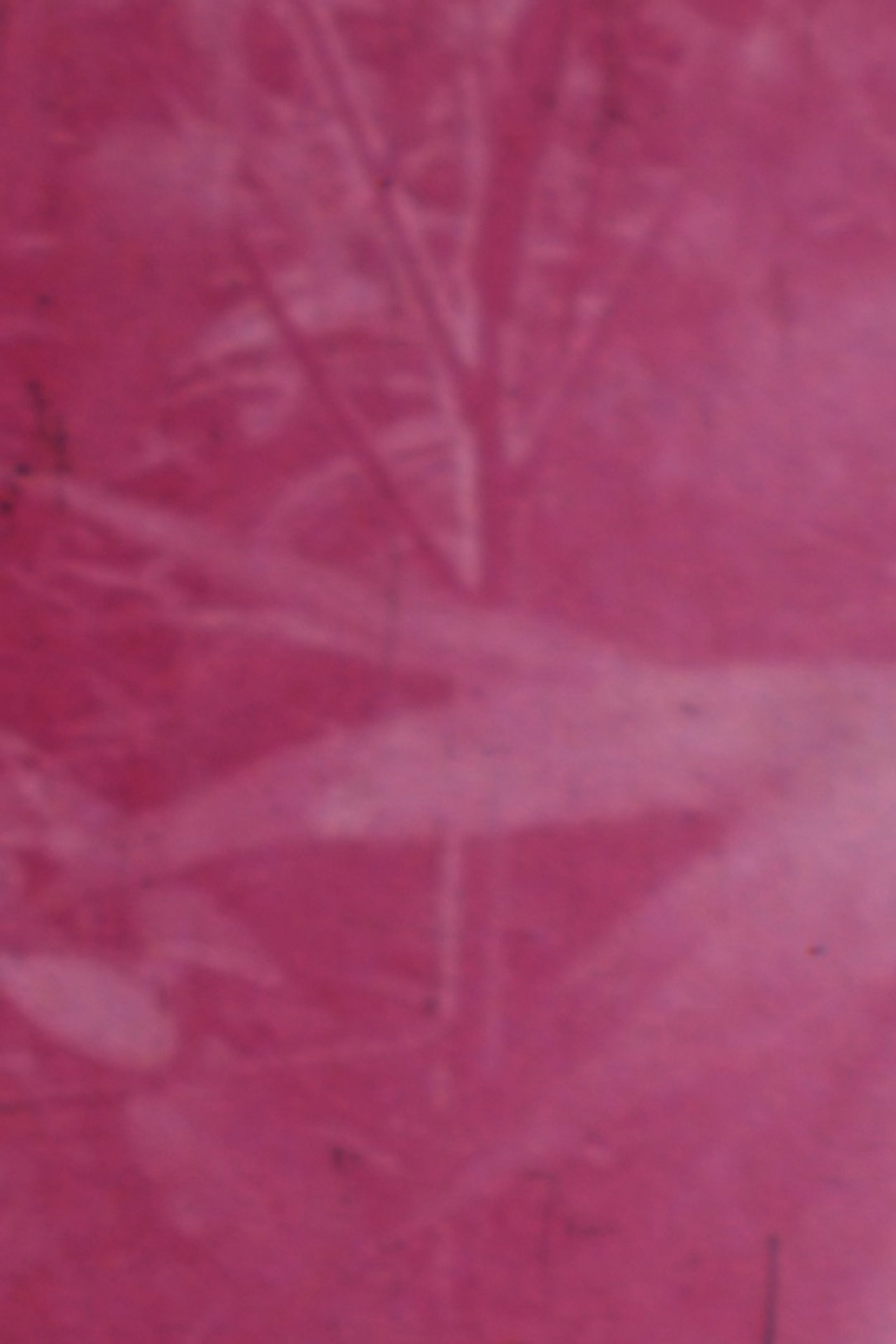 Ornamentals