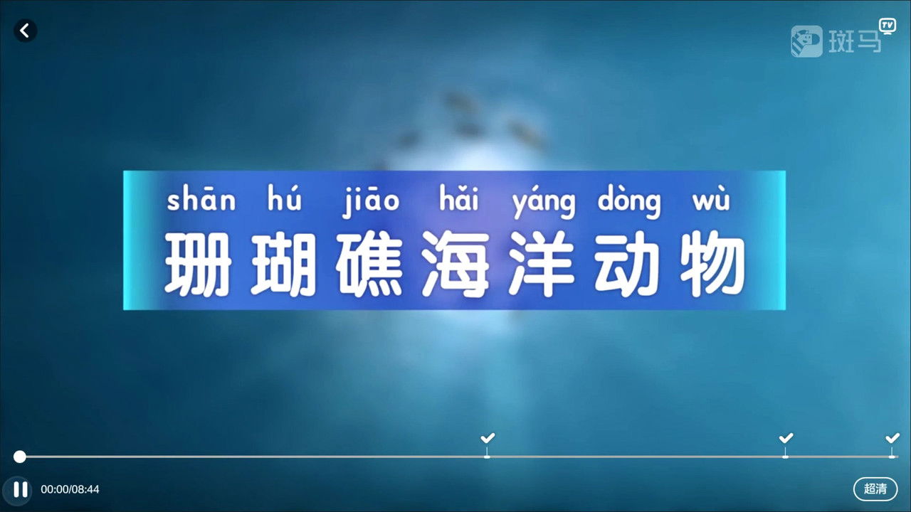 斑马百科 — Épisode 4