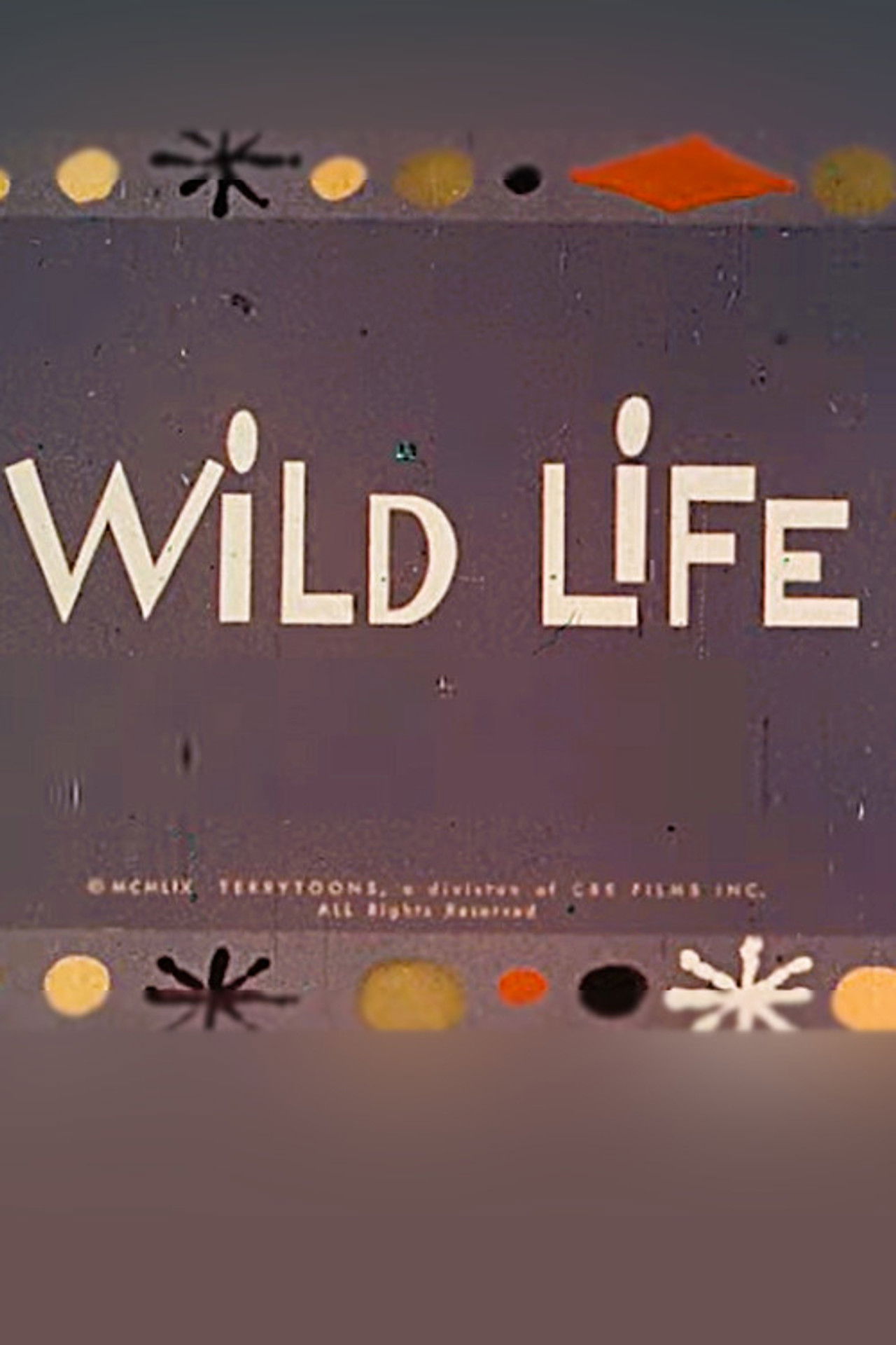 Wild Life Backdrop
