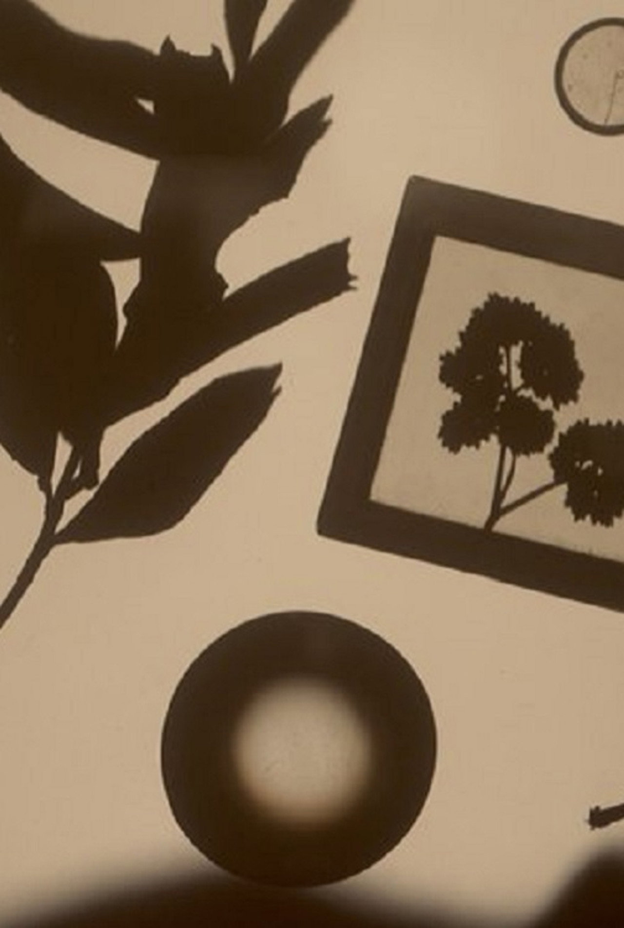 En Tibi Herbarium (Here, a Herbarium For You) (2023)