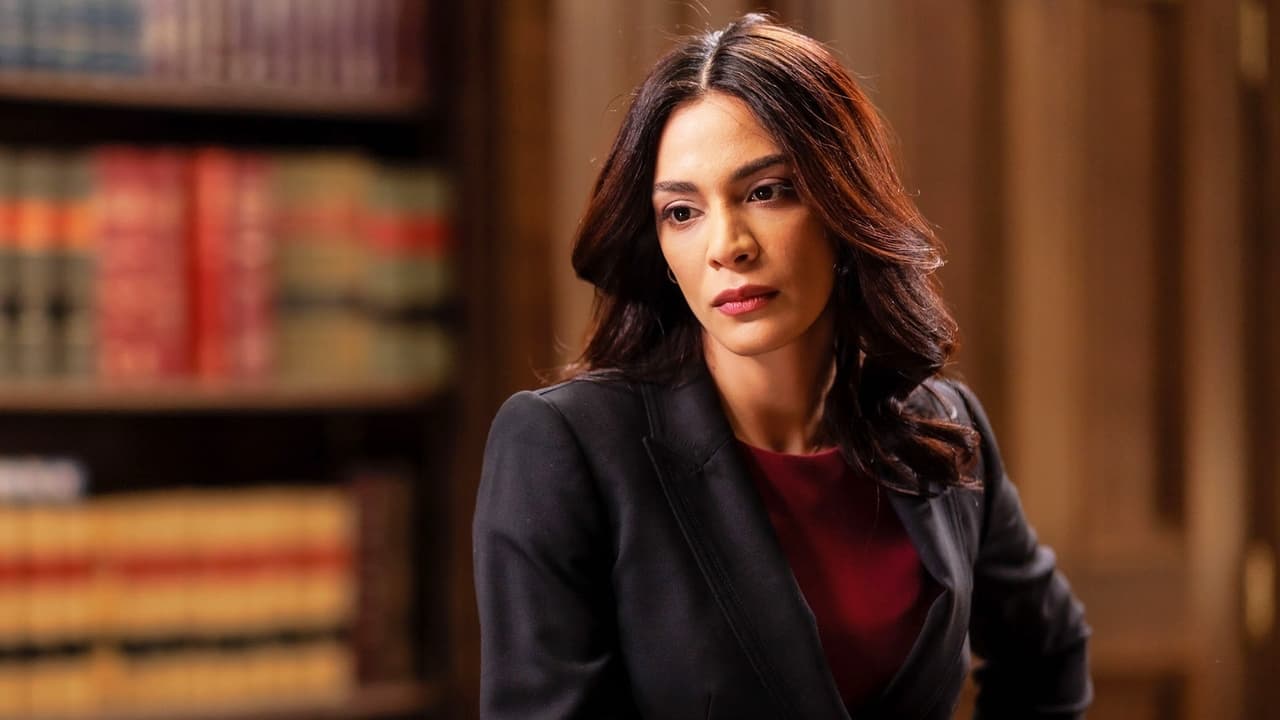 Law & Order - Season 22 Episode 10 : Land of Opportunity