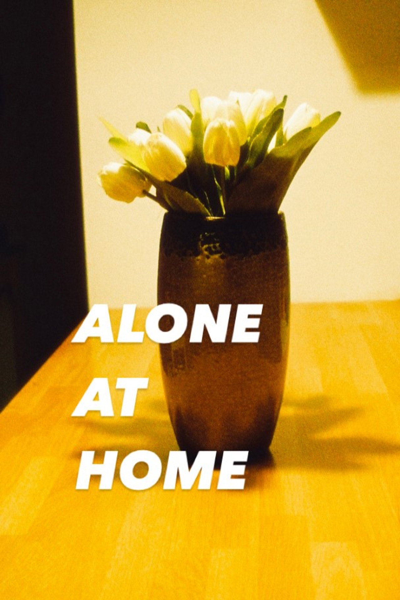 Alone at Home filmaffisch