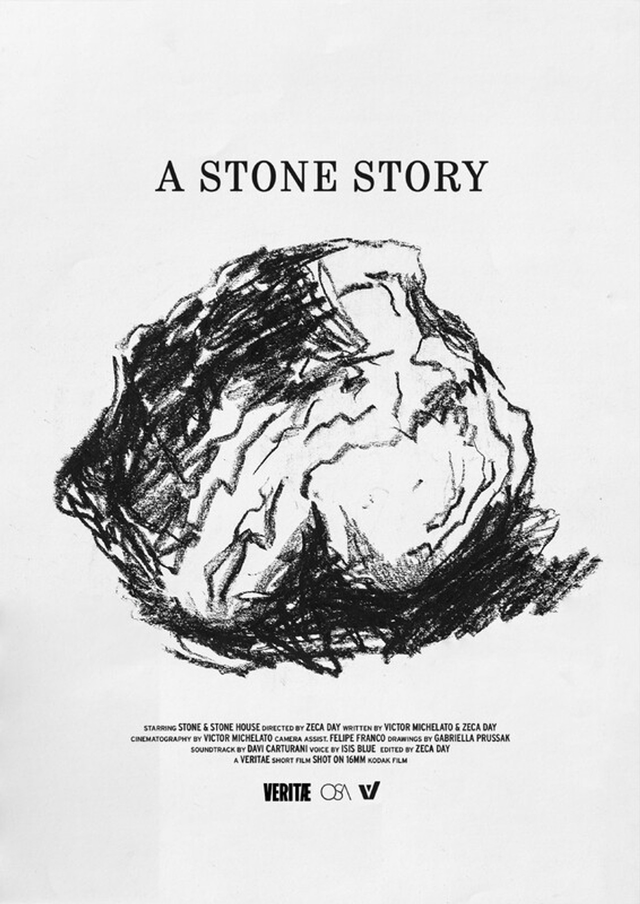 A Stone Story poster