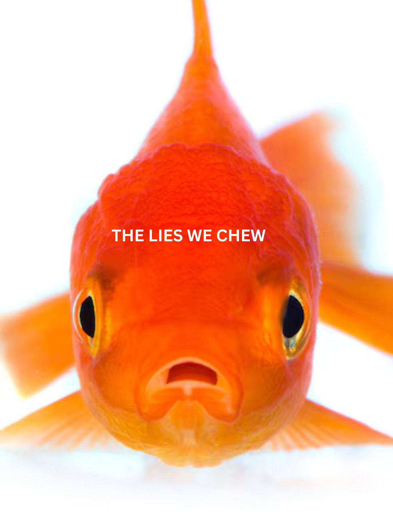 The Lies We Chew filmaffisch