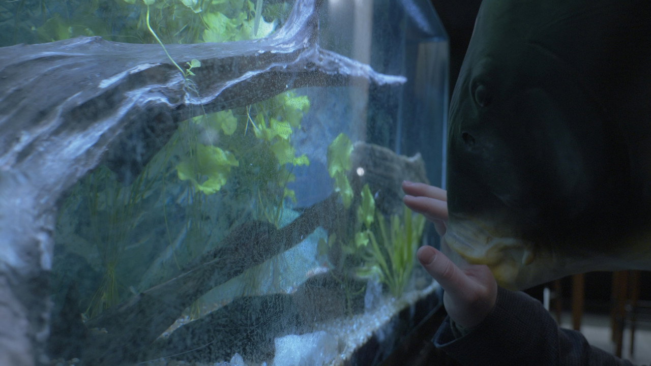 Fish Out Of Water still 2