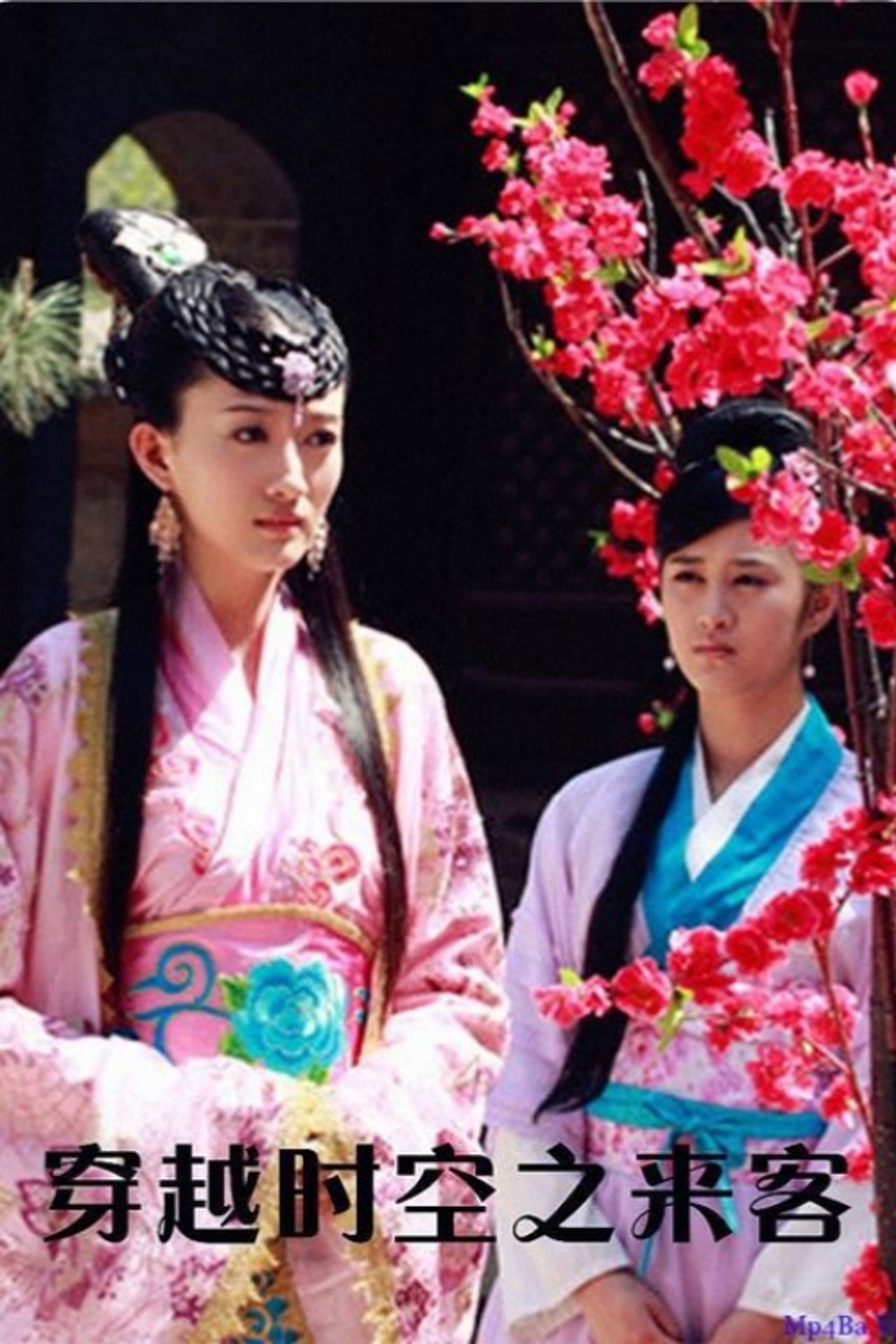 穿越时空之来客 Backdrop