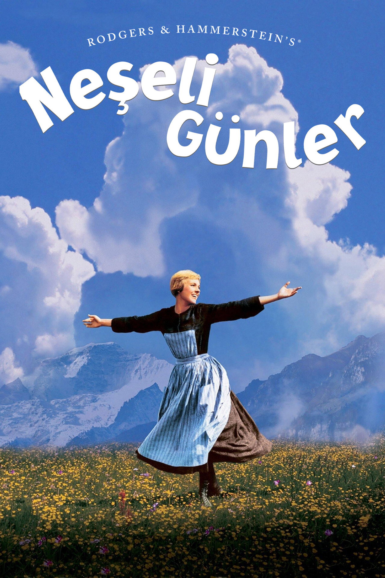 Neşeli Günler Poster