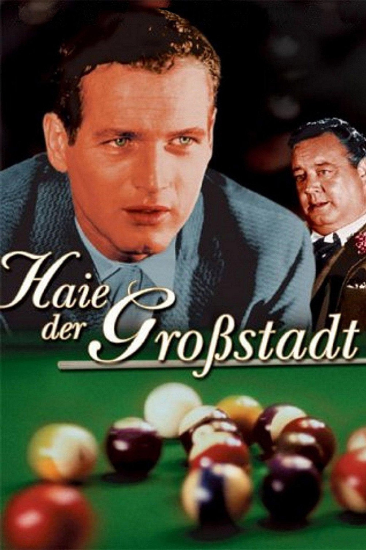 Haie der Großstadt