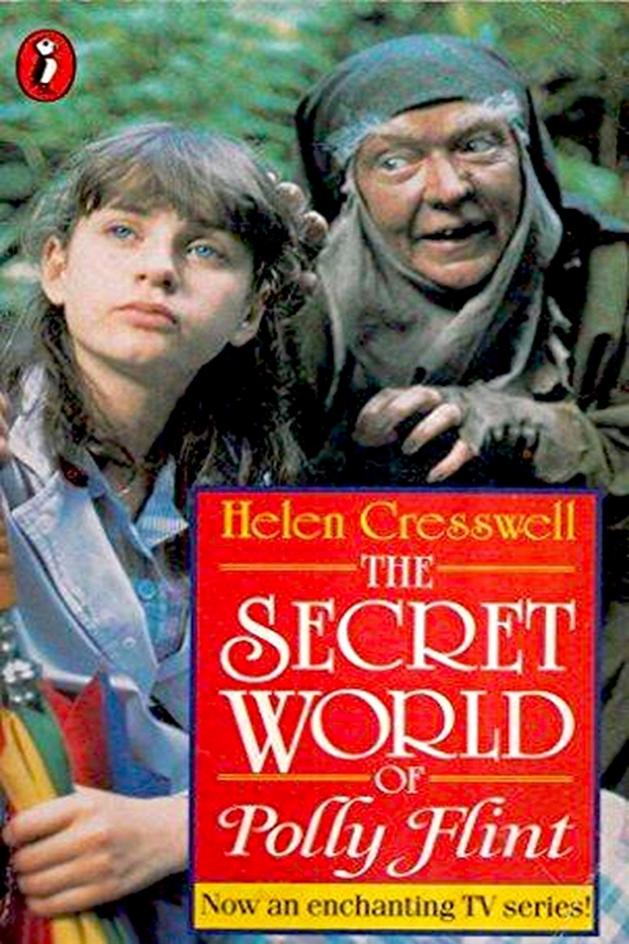 The Secret World of Polly Flint The Secret World of Polly Flint