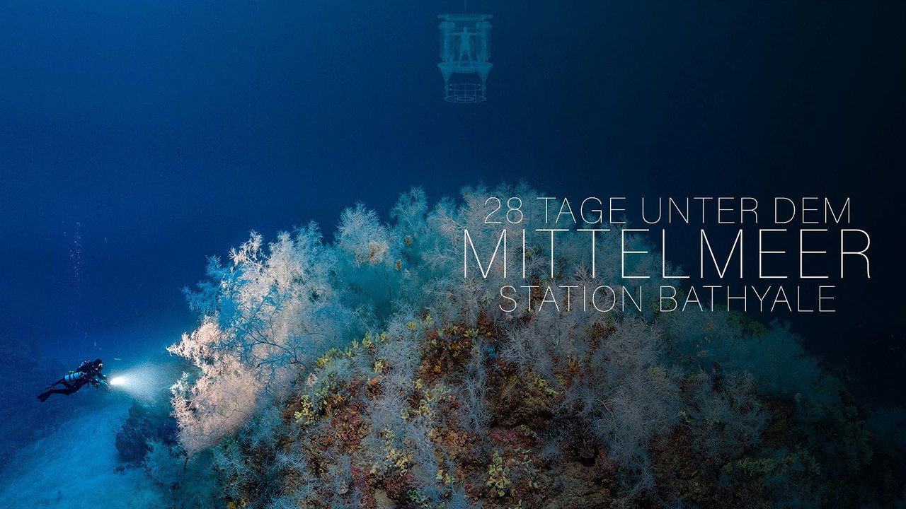 The Deep Med backdrop