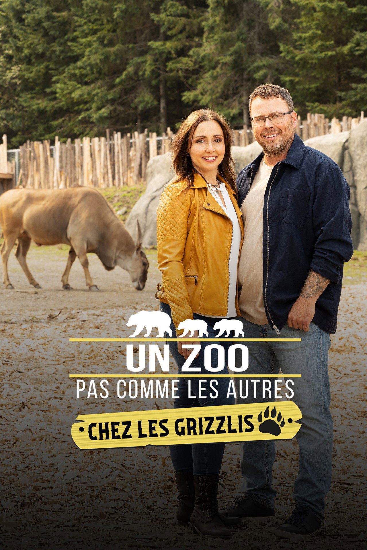 Un zoo pas comme les autres chez les grizzlis filmaffisch