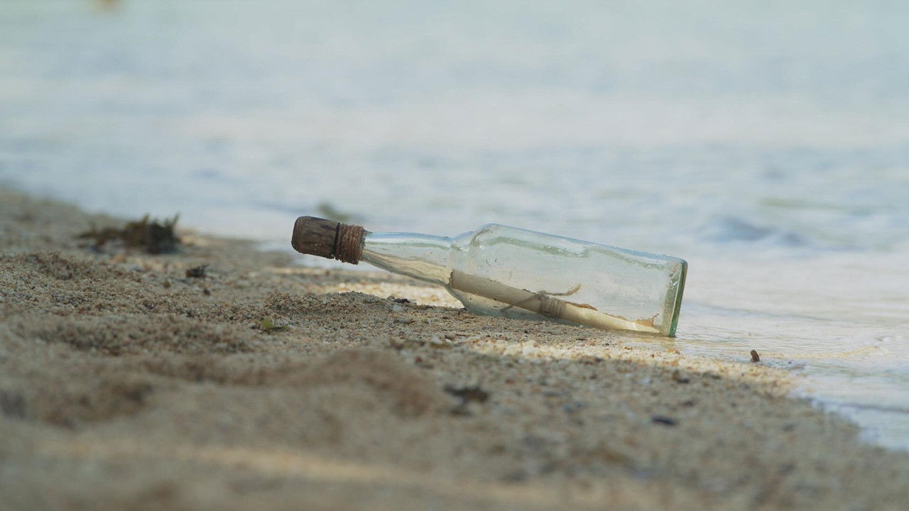 Robinson - Season 26 Episode 37 : Episode 37