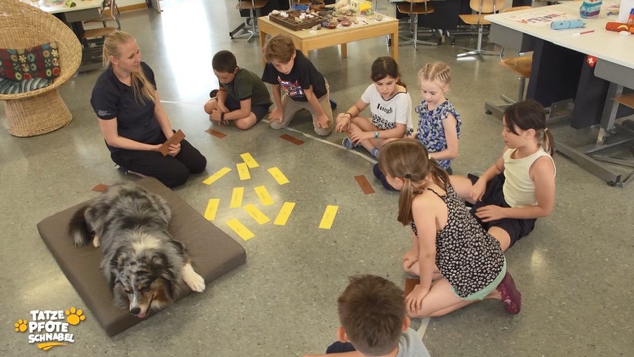 Tatze, Pfote, Schnabel - Season 1 Episode 9 : Episode 9