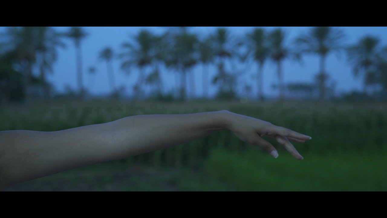 A love letter to the world still 7