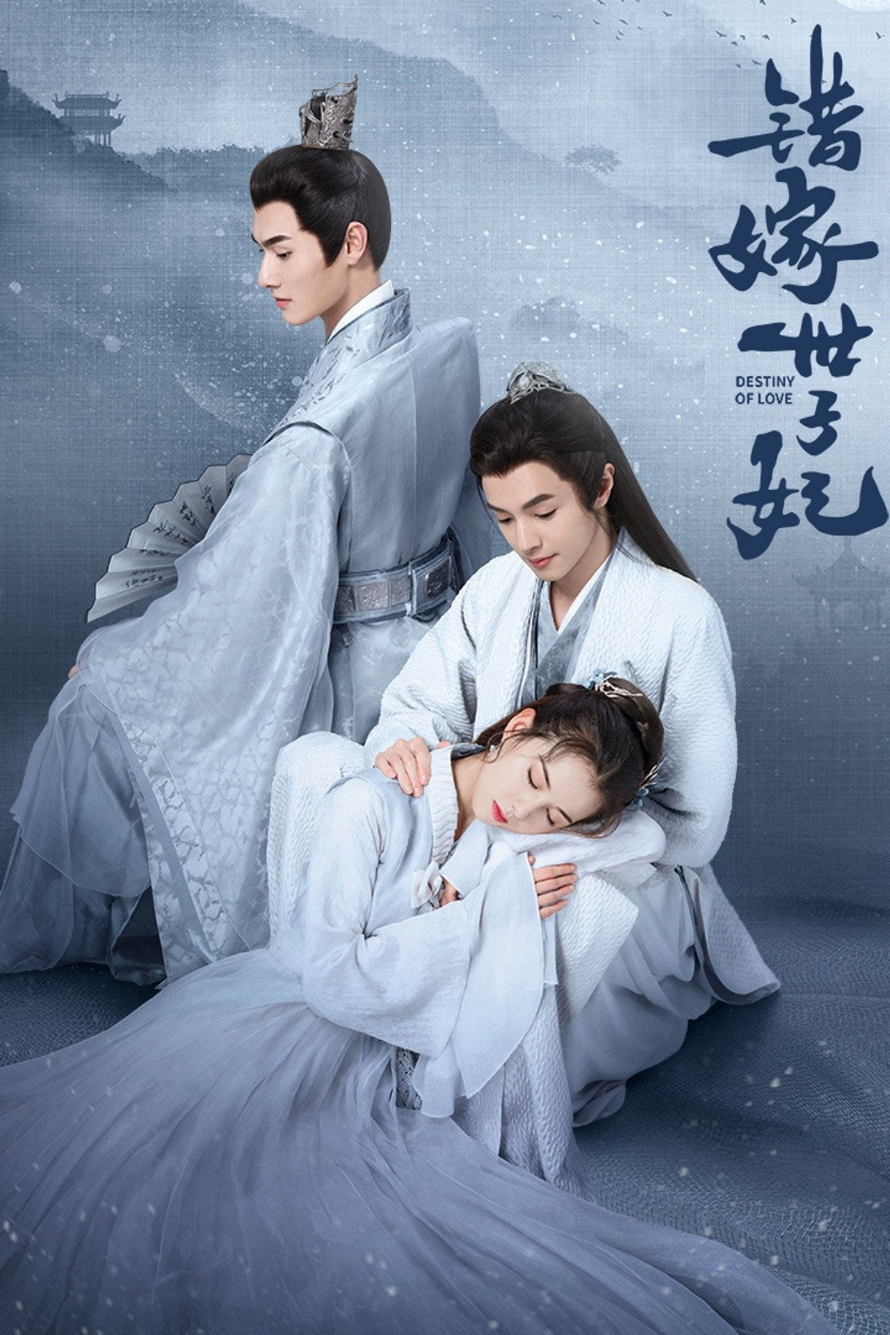 错嫁世子妃 affisch
