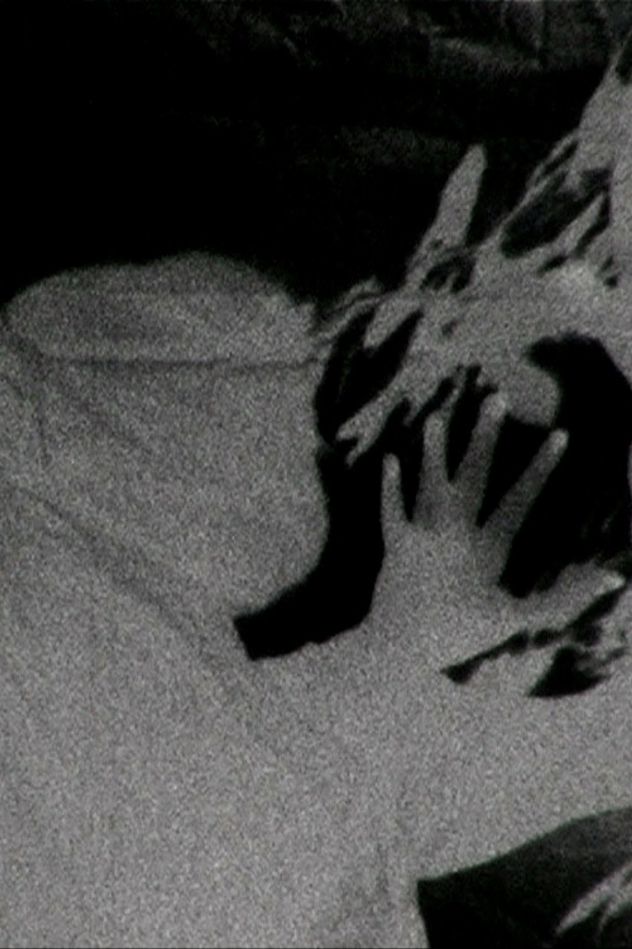 METAMORPHOSE filmaffisch