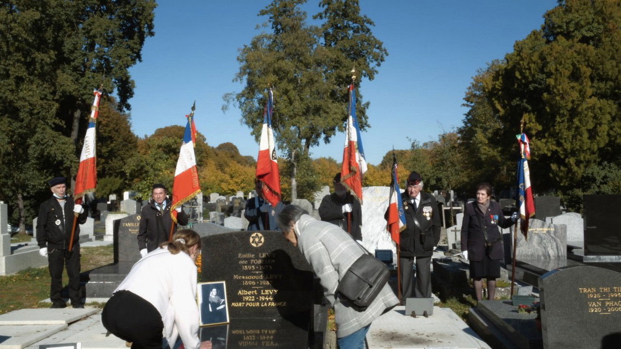 Il faut ramener Albert