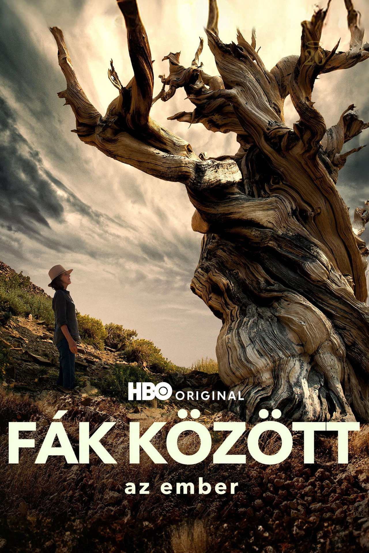 Fák között az ember – plakát 5