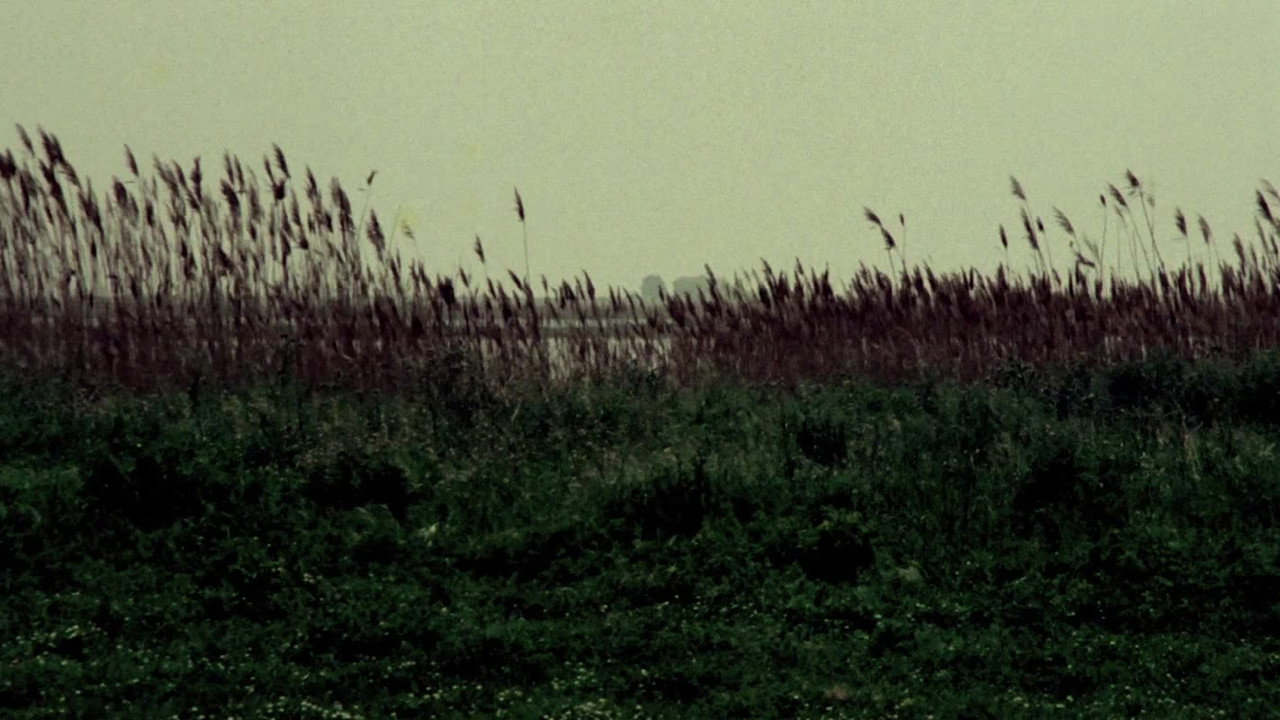 Обои к фильму «Сияющий секс (1976)» — (27 из 38)