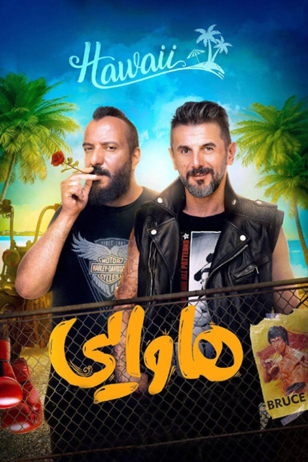 هاوایی poster