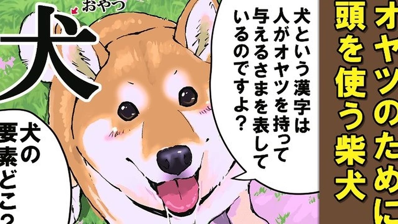 Doomsday with My Dog - Season 1 Episode 58 : Special Lecture 1 / Special Lecture 2 / Dogs and Kanji 1 / Dogs and Kanji 2